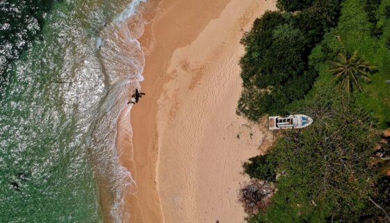 Miejsca do spacerów z psem - gdzie warto wybrać się na spacer w Gdyni